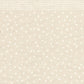 A2 Envelopes DIY Baby's Breath Reversible