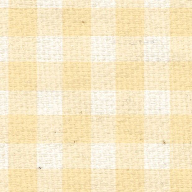 *FVG8  French Vanilla Gingham  Paper  8 1/2 x 11