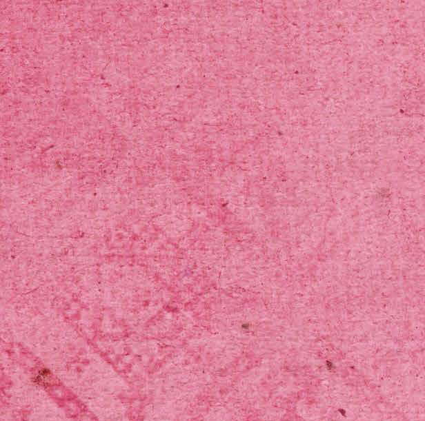 Pink Cosmos Grunge 65# Cardstock