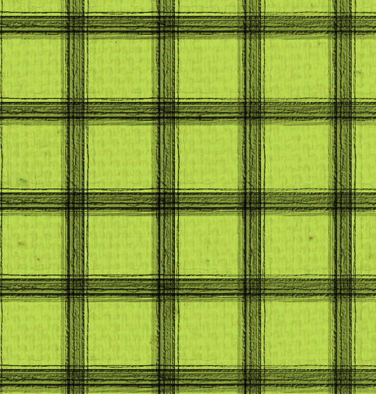SH - Green Canvas w/Black Plaid 8 1/2 x 11