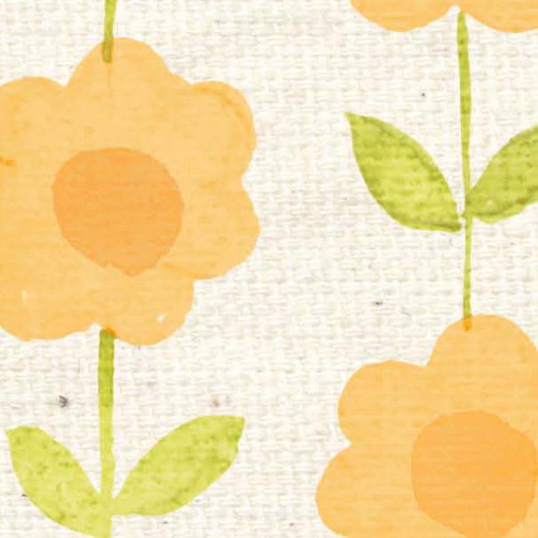 HSDLB - Daylily Blooms Paper  8 1/2 x 11