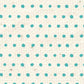 HSBLBBD - Bluebird Baby Dots Paper  8 1/2 x 11