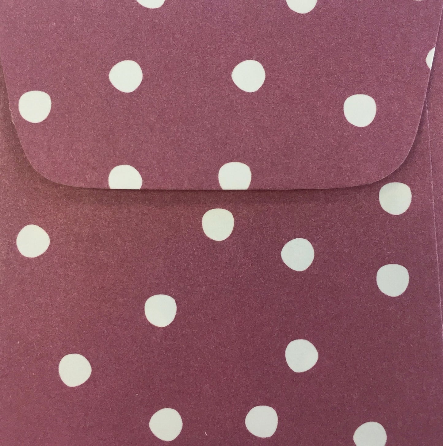 Berry Dots Doodle Tag Envelope - Set of 4