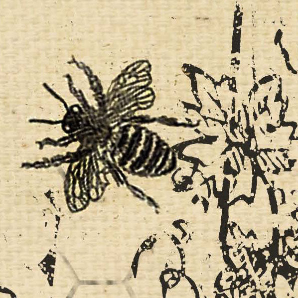 Busy Bee Paper Collection  8 1/2 x 11