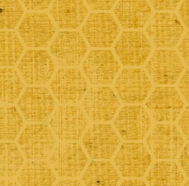 BABHCYDD - Honeycomb Yellow Daisies Dark Paper  8 1/2 x 11