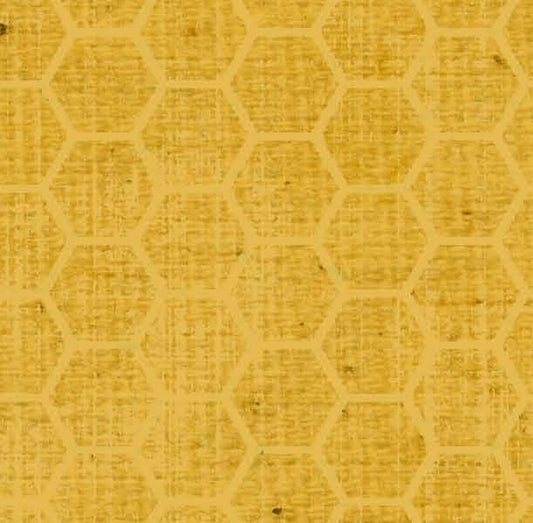 BABHCYDD - Honeycomb Yellow Daisies Dark Paper  8 1/2 x 11