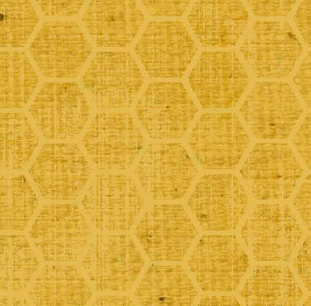 *BABHCYDD - Honeycomb Yellow Daisies Dark Paper  8 1/2 x 11