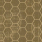 BABHCMD - Honeycomb Mushroom Dark Paper  8 1/2 x 11