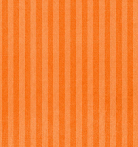 KUST81 Kumquat Stripes 8 1/2 x 11 - One Sheet