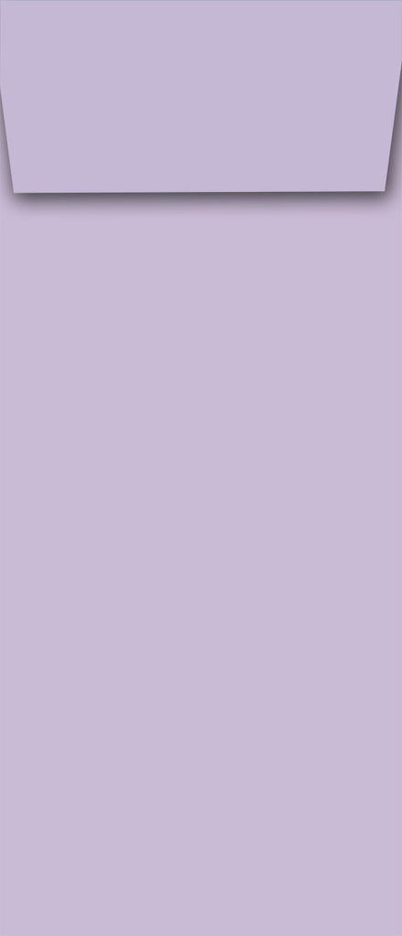 Lengthy Notes - Lilac Envelopes