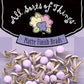 Brads - Lilac