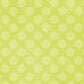 LFCD8 - Lime Fizz Chalky Dots 8 1/2 x 11 - One Sheet