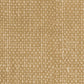ARTTTTFG - Toadstool Tan Fresh Gesso