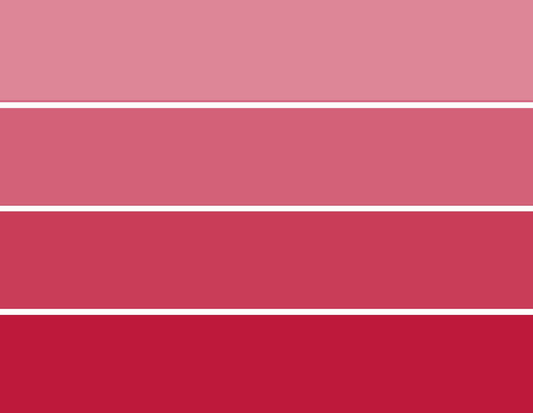 PCCLBR - Paint Chip Cards Ladybug Red - 10 card pack