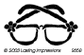S658  - Sunglasses