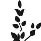 S710  - Vine