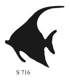 S716 - Angel Fish