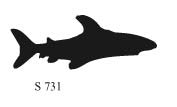 S731 - Shark