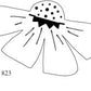 S823 - Daisy