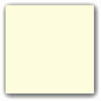 SN81 - Snickerdoodle (Solid Off White) 8 1/2x11 -  One Sheet