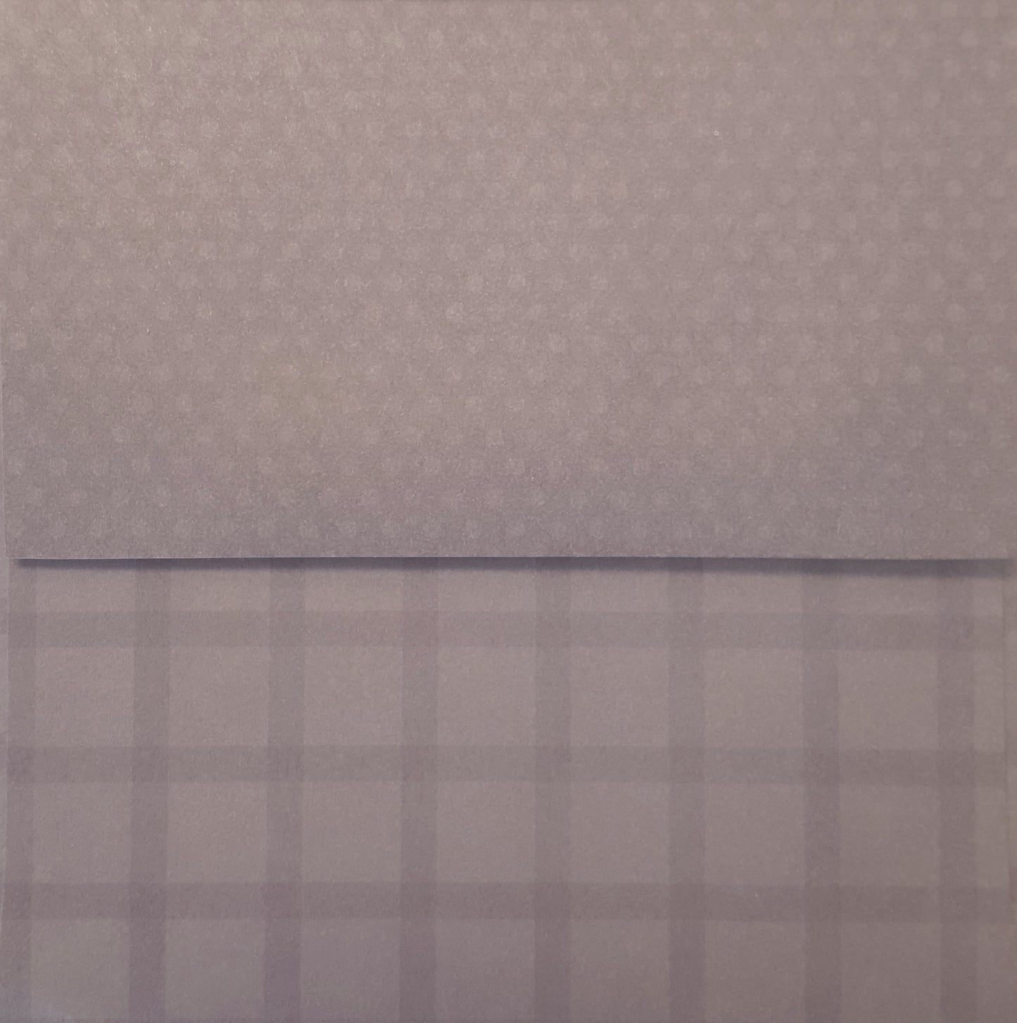 Simply Square Sugar Plum Envelopes