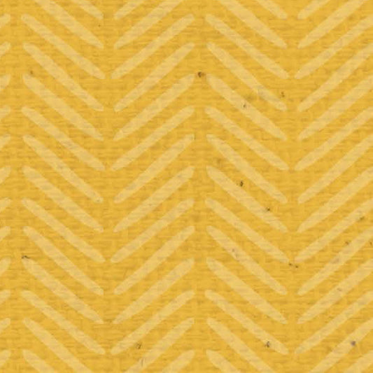 ZZYD - Zig Zag Yellow Daisies