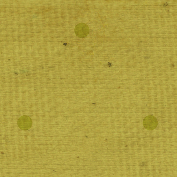 DDGO Distant Dot - Green Olive