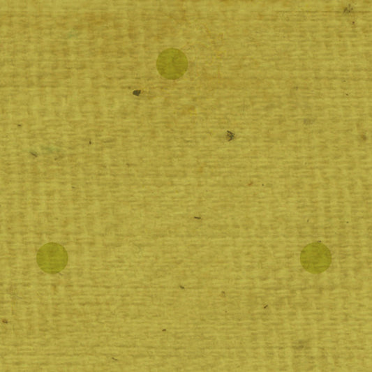 DDGO Distant Dot - Green Olive