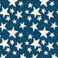 SSBPSS - Blueberry Pie Scattered Stars