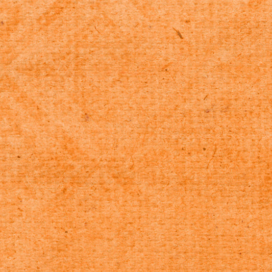 Orange Poppy Grunge