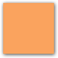 Bulk Ribbon - Tangerine Velvet