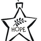 L9597-Hope Star