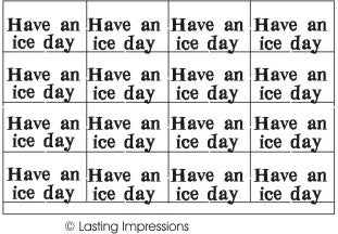 SM137 - HAVE AN ICE DAY- STAINLESS