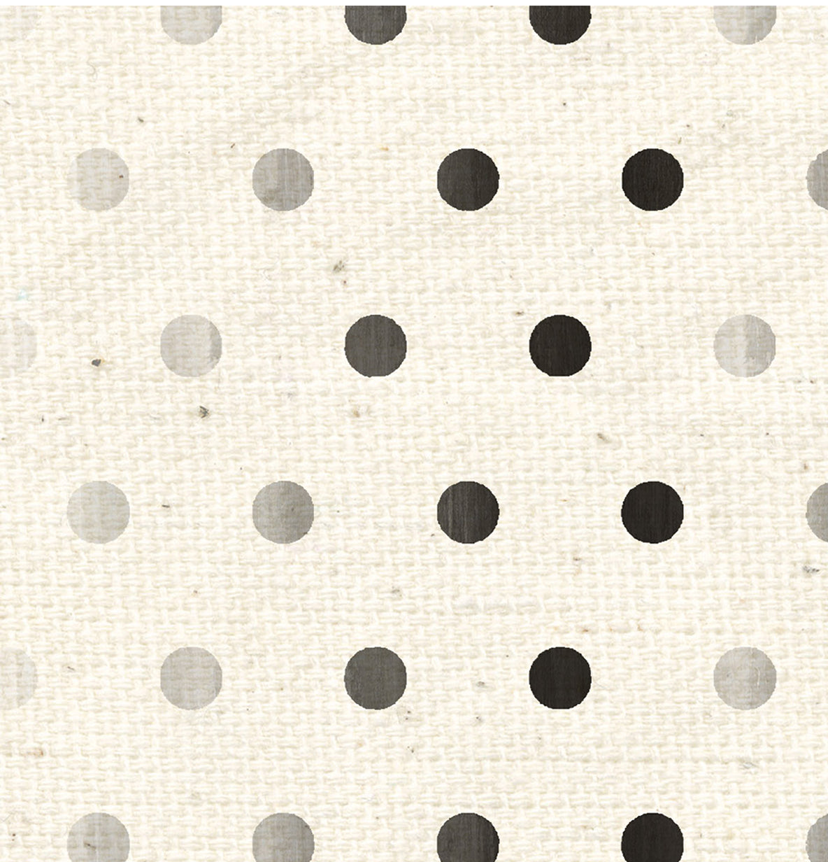 FC Fog City Dots