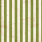 RC Rusty Inch Worm Stripes